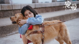 Обожание (фильм, 2019)