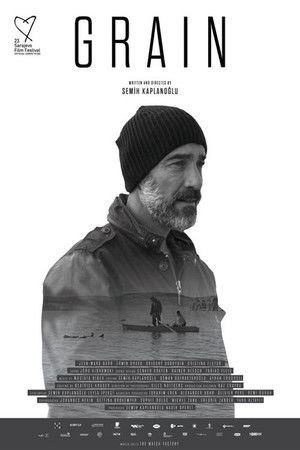 Зерно (фильм, 2017)