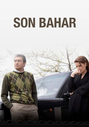 Весной прошлого года (сериал, 2008)