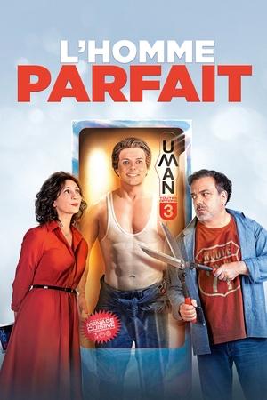 Мистер Идеальность (фильм, 2019)