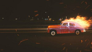 Птичий язык (фильм, 2019)