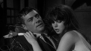 Паучонок, или Безумнейшая история из когда-либо расказанных (фильм, 1967)