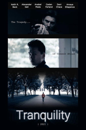 Успокоение - независимый фильм (фильм, 2021)