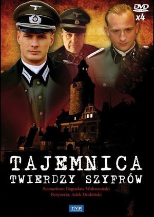 Тайна секретного шифра (сериал, 2007)