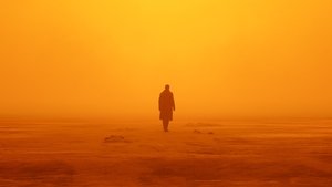 Бегущий по лезвию 2049 (фильм, 2017)