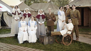 Багряное поле (сериал, 2014)