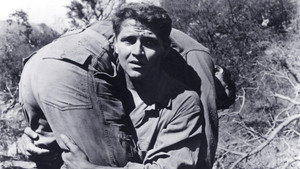 Укрытие (фильм, 1964)