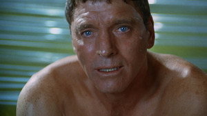 Пловец (фильм, 1968)