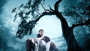 Грозовой перевал (сериал, 2009)
