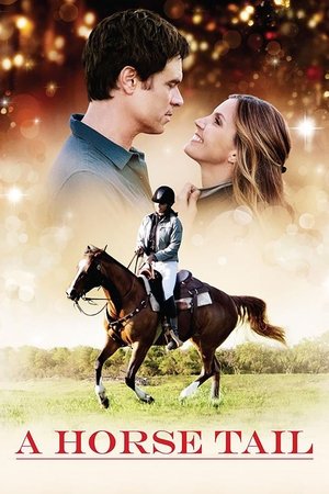 Рождественское обещание (фильм, 2015)