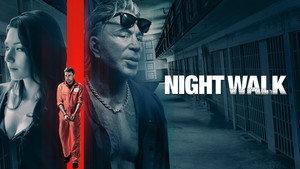 Ночная прогулка (фильм, 2019)