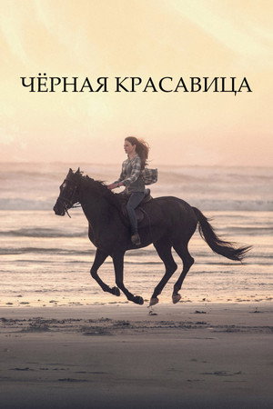 Чёрная Красавица (фильм, 2020)