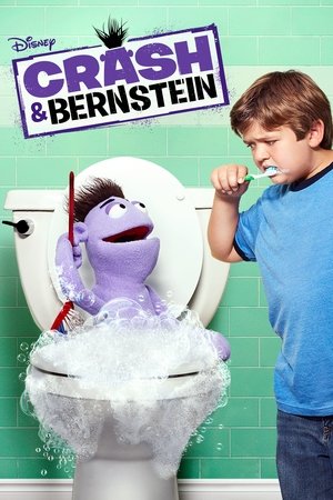 Крэш и Бернштейн (сериал, 2012)
