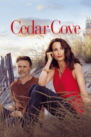 Кедровая бухта (сериал, 2013)