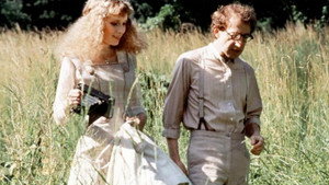 Сексуальная комедия в летнюю ночь (фильм, 1982)