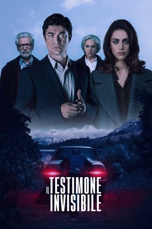 Невидимый свидетель (фильм, 2018)