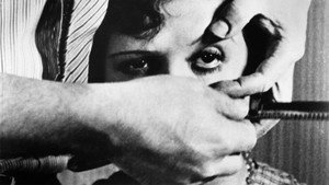 Андалузский пес (фильм, 1929)