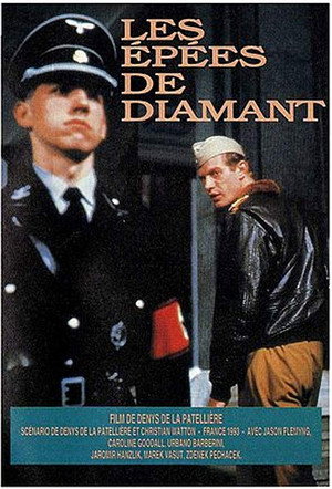 Алмазные мечи (фильм, 1993)