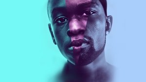 Лунный свет (фильм, 2016)