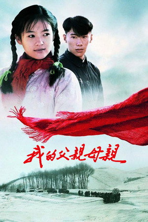 Дорога домой (фильм, 1999)