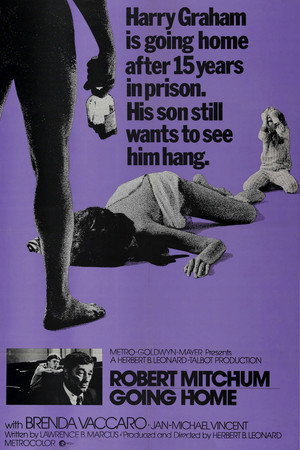 Иди домой (фильм, 1971)