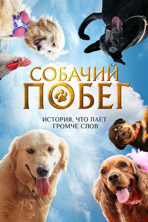 Собачий побег (фильм, 2023)