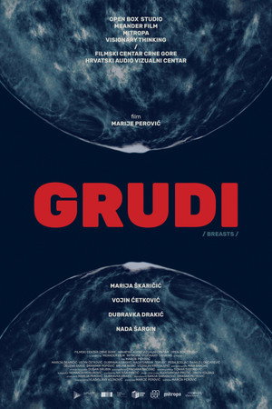 Груди (фильм, 2020)
