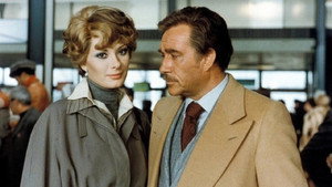 Кто успокоил мою жену? (фильм, 1976)