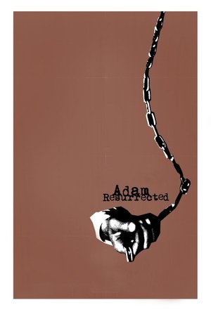 Воскрешенный Адам (фильм, 2008)