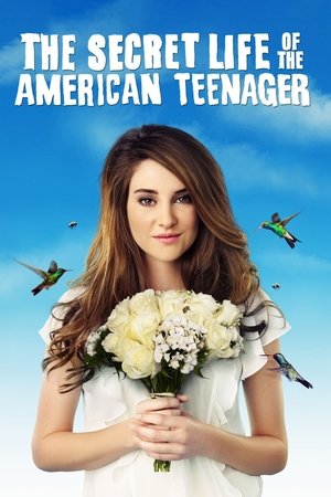 Втайне от родителей (сериал, 2008)