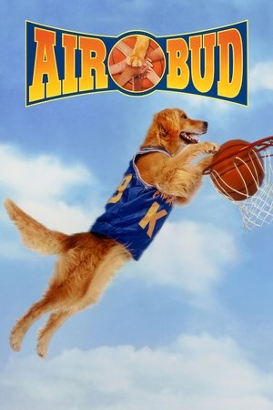 Король воздуха (фильм, 1997)