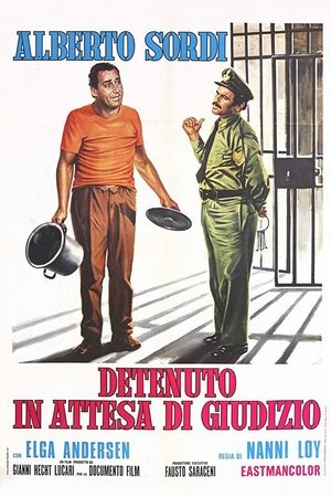 Задержанный в ожидании суда (фильм, 1971)