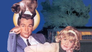 Эта дикая кошка (фильм, 1965)