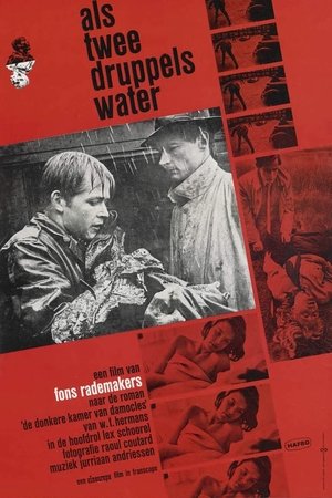 Как две капли воды (фильм, 1963)