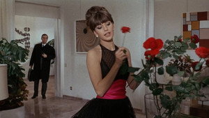 Измена по-итальянски (фильм, 1966)