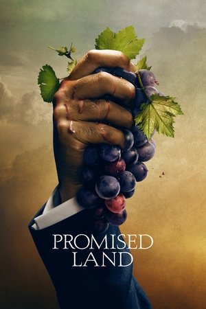 Земля обетованная (сериал, 2021)