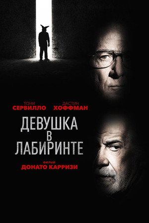 Девушка в лабиринте (фильм, 2019)