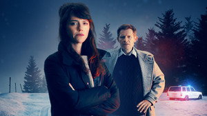 Вильдер (сериал, 2017)
