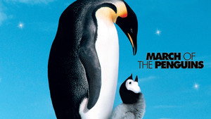 Птицы 2: Путешествие на край света (фильм, 2004)