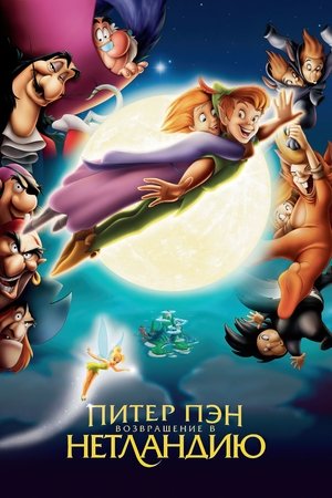 Питер Пэн: Возвращение в Нетландию (мультфильм, 2002)