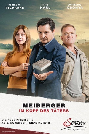 Майбергер. В голове преступника. (сериал, 2018)