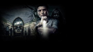Ужас в торговом центре (фильм, 2014)
