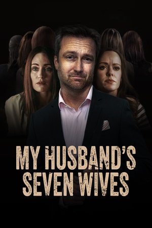 Семь жен моего мужа (фильм, 2024)