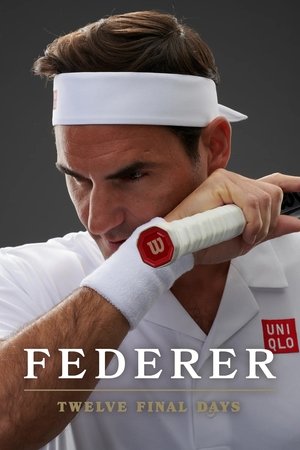 Федерер: Последние двенадцать дней (фильм, 2024)