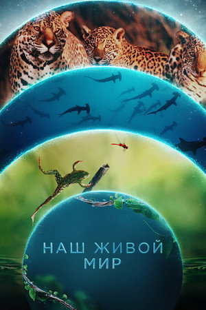 Наш живой мир (сериал, 2024)