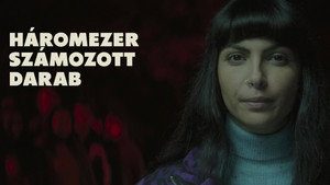 Три тысячи пронумерованных деталей (фильм, 2022)