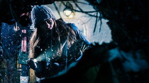 Падший предвестник (фильм, 2015)