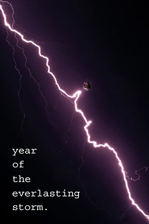 Год вечной бури (фильм, 2021)