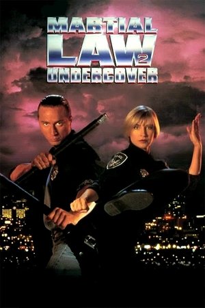 Комендантский час 2 (фильм, 1991)