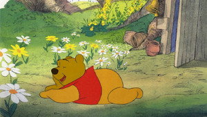 Винни Пух открывает времена года (мультфильм, 1981)